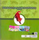 خوب بخوابی پیشی زنجبیلی